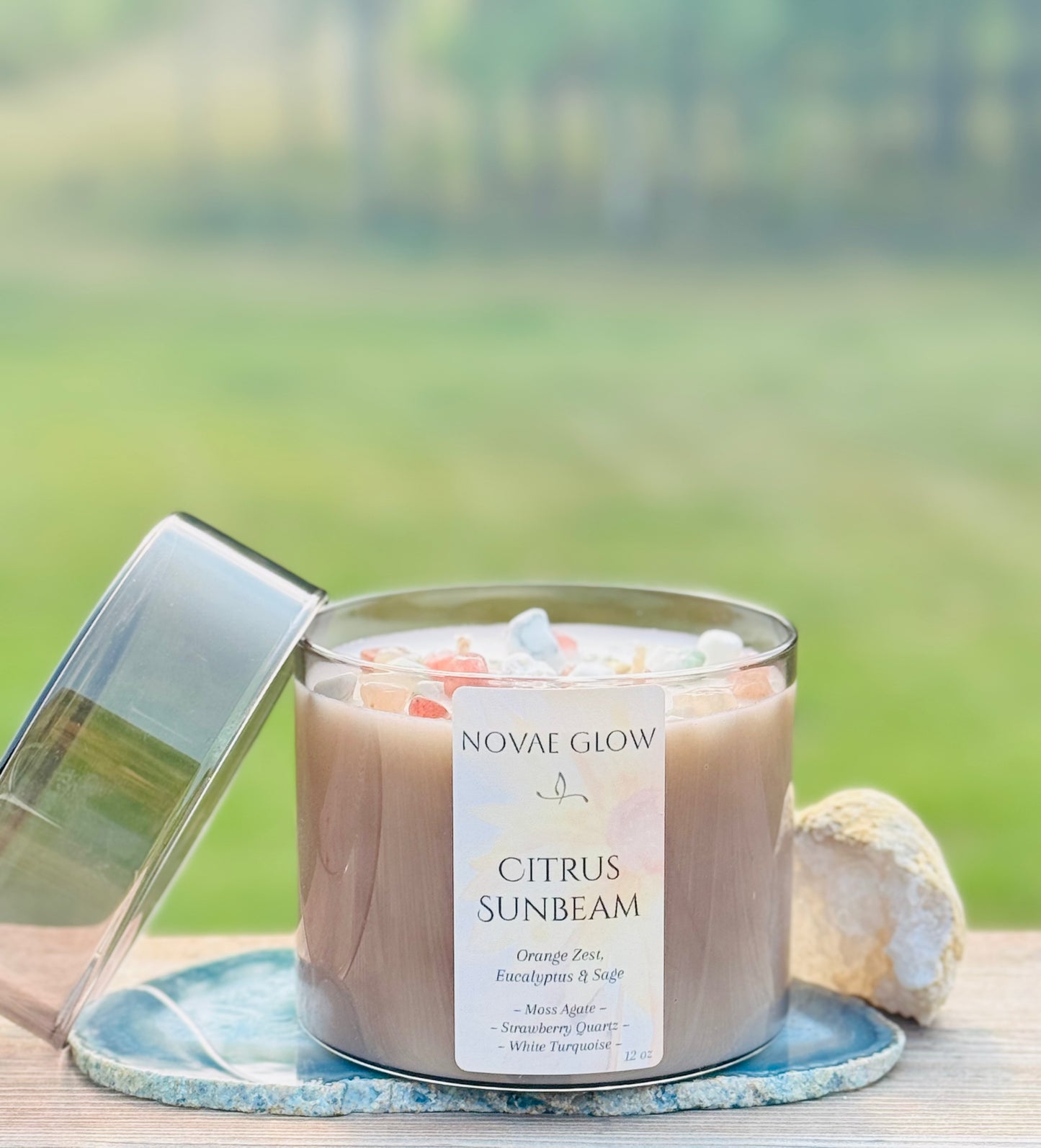 Citrus Sunbeam